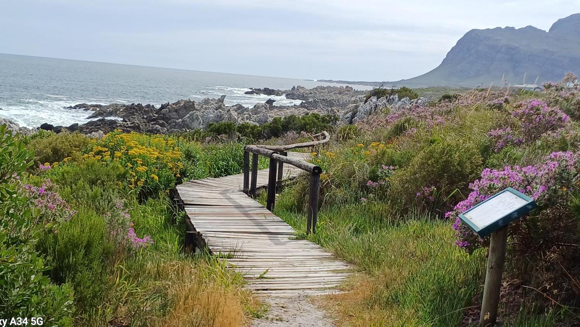 Kleinmond Panorama Holidays Eksteriør bilde